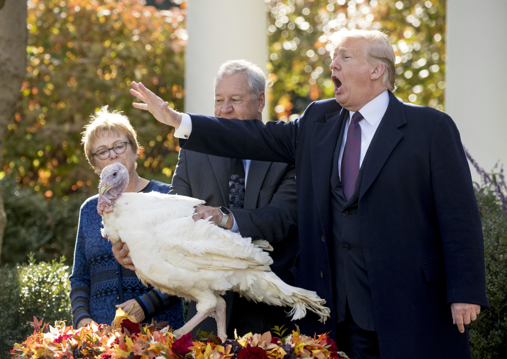 Trump turkey pardon, 2018